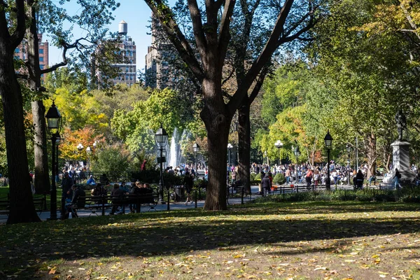 Washington Square Park 'ın, aşağı M' deki Nyu yakınlarındaki yeşillik rengi.
