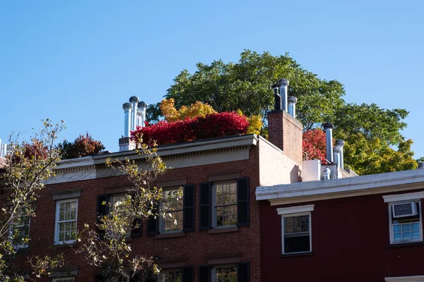 Jesienny kolor liści Greenwich Village na Dolnym Manhattanie — Zdjęcie stockowe