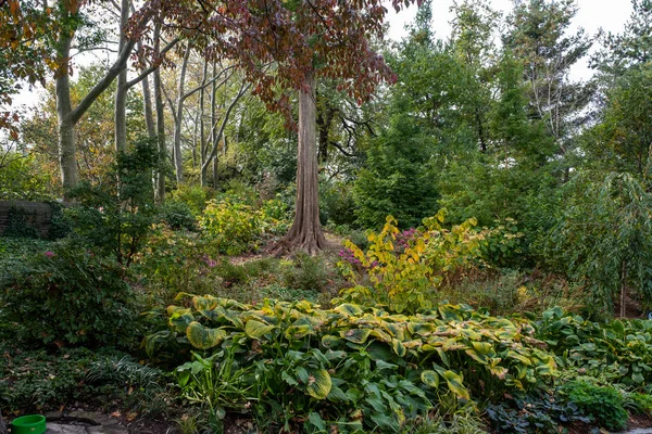 Fall kolor liści Fort Tryon Park w Fort George Manhattan — Zdjęcie stockowe