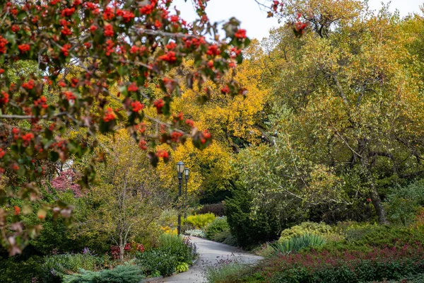 Fall kolor liści Fort Tryon Park w Fort George Manhattan — Zdjęcie stockowe