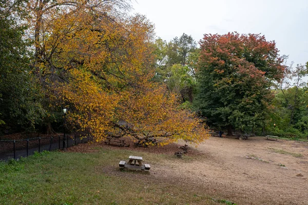 Podzimní barva listí Fort Tryon Park ve Fort George Manhattan — Stock fotografie