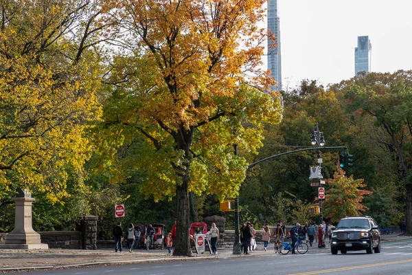Color del follaje otoñal de Central Park en Manhattan —  Fotos de Stock