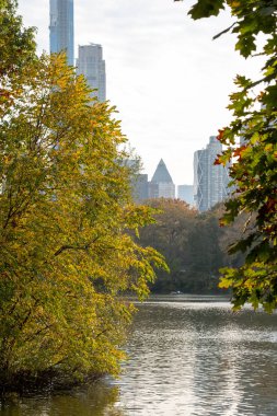 Manhattan 'daki Central Park' ın sonbahar yeşillik rengi