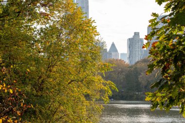 Manhattan 'daki Central Park' ın sonbahar yeşillik rengi