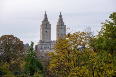 Manhattan 'daki Central Park' ın sonbahar yeşillik rengi