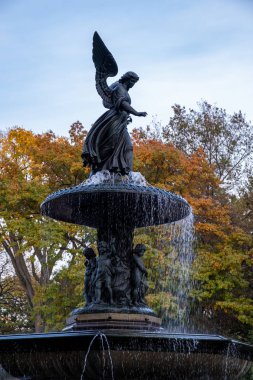 Manhattan 'daki Central Park' ın sonbahar yeşillik rengi