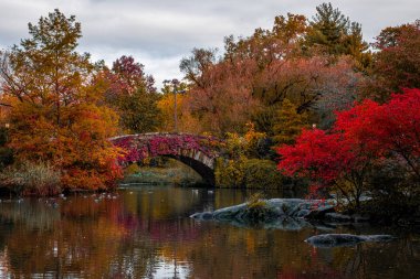 Manhattan 'daki Central Park' ın sonbahar yeşillik rengi