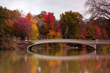 Manhattan 'daki Central Park' ın sonbahar yeşillik rengi