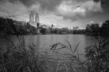 Manhattan 'daki Central Park' ın sonbahar yeşillik rengi