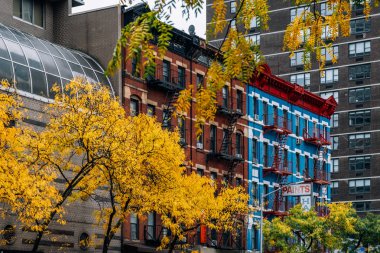 Manhattan 'ın Yukarı Doğu Yakasının sonbahar yeşillik rengi