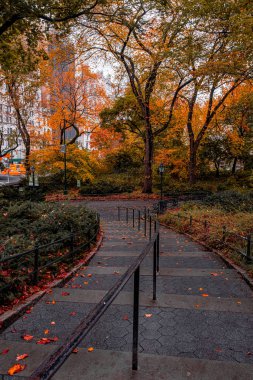 Manhattan 'daki Central Park' ın sonbahar yeşillik rengi