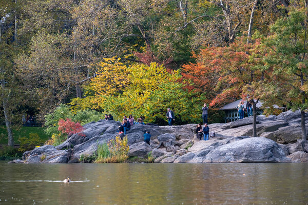 Fall foliage color of Central Park in Manhattan