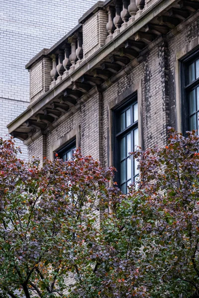 Spadek koloru liści Upper East Side na Manhattanie — Zdjęcie stockowe