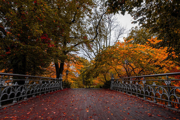 Осенний цвет листвы Центрального парка Манхэттена
