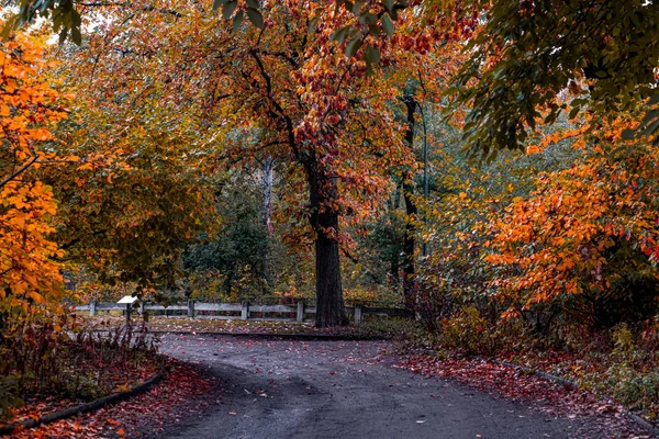 Φθινόπωρο χρώμα φύλλωμα του Central Park στο Μανχάταν — Φωτογραφία Αρχείου