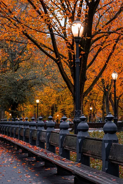 Manhattan 'daki Central Park' ın sonbahar yeşillik rengi