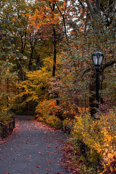 Manhattan 'daki Central Park' ın sonbahar yeşillik rengi