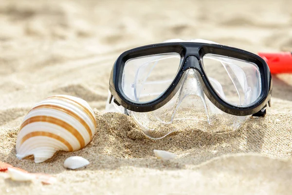 Máscara e snorkel na areia com conchas — Fotografia de Stock