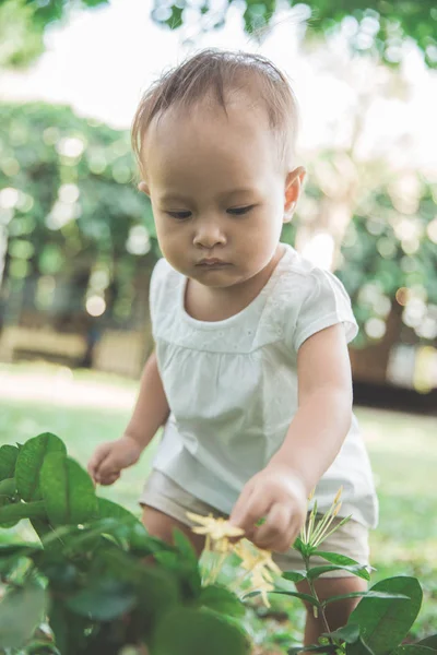 Малыш забирает цветок из растения — стоковое фото