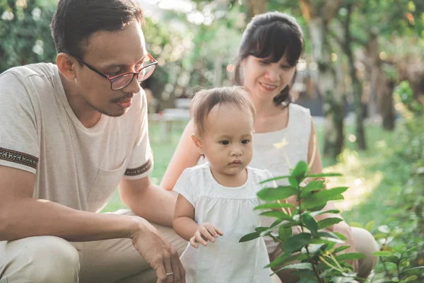 Rodzice z dzieckiem, które interesują się roślin — Zdjęcie stockowe