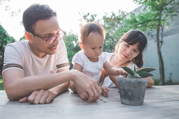 Genitori con bambino prendersi cura di flowe — Foto Stock