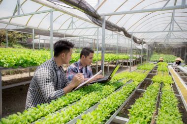 Dizüstü bilgisayar kullanarak iki çiftçi