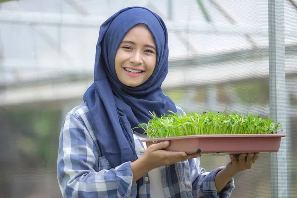 Kvinna som håller växter potten på gård — Stockfoto