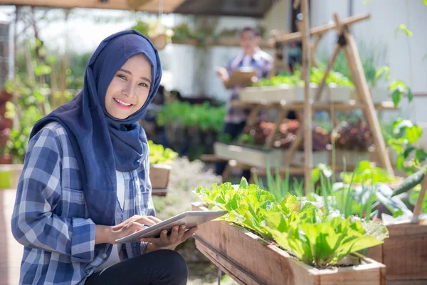 Çiftlikte tablet ile Müslüman kadın