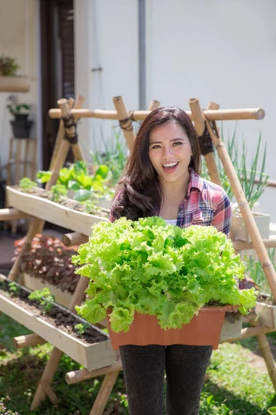 Çiftçi holding marul çiftlikte