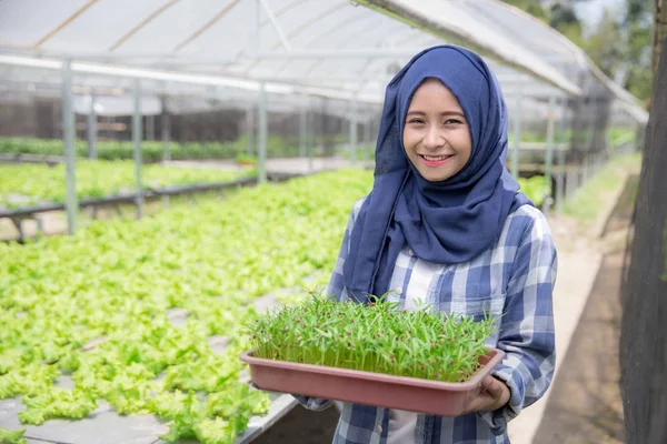 Kvinna som håller växter potten på gård — Stockfoto