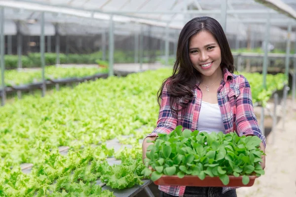 女人坚持农场植物盆栽 — 图库照片