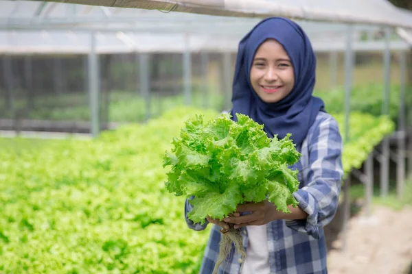 Bonde innehav sallad på gård — Stockfoto