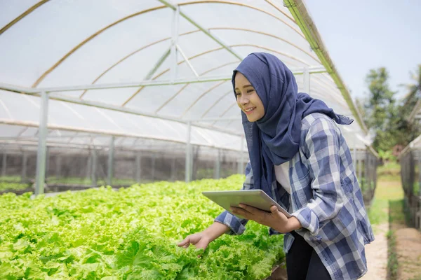 Agriculteur musulman avec tablette — Photo