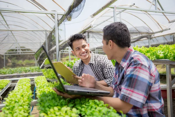 Dwóch rolników za pomocą laptopa — Zdjęcie stockowe