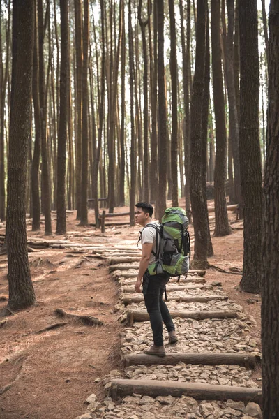 Escursionista sul sentiero nella foresta — Foto Stock