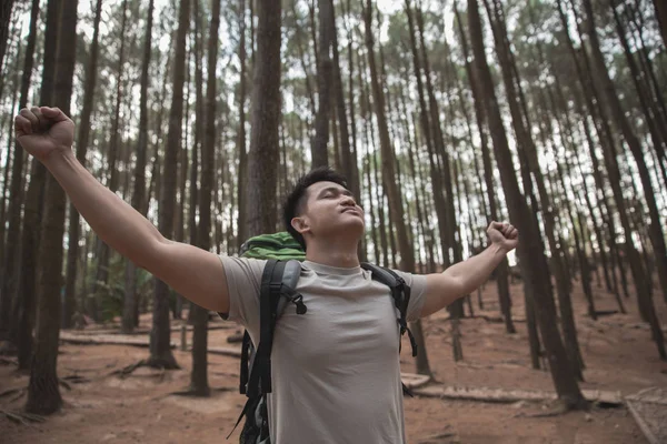 Turysta, podnosząc ręce w lesie — Zdjęcie stockowe