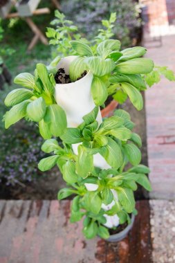 küçük alan tarım kavramı