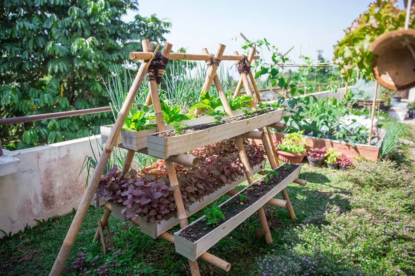 modern home urban farming