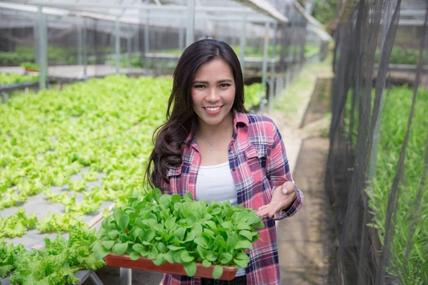 Kvinna som håller en liten gröna växter. — Stockfoto