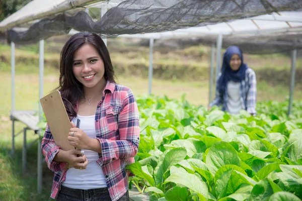 Jonge Aziatische vrouwelijke boer — Stockfoto