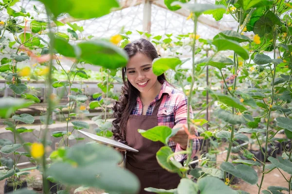 female farmer with tablet