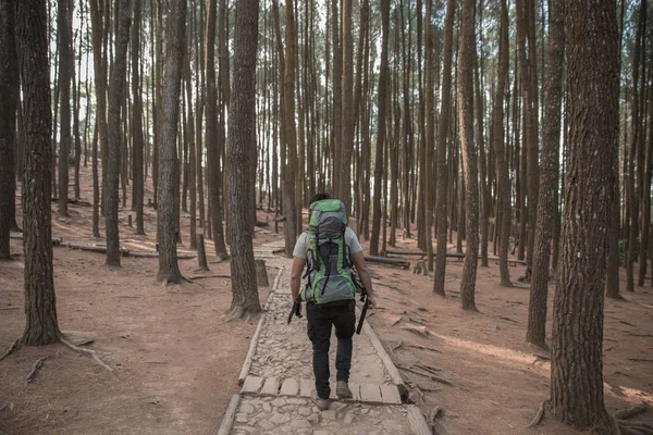 Människan vandrar i skogen. — Stockfoto