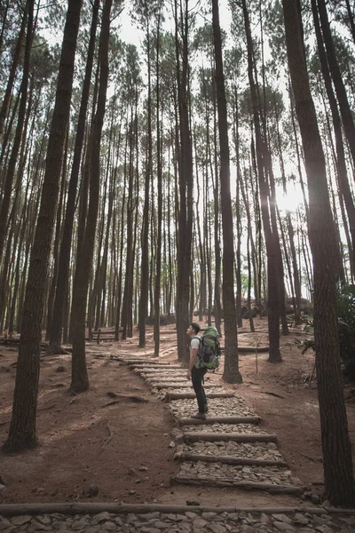 Mann mit Rucksack beim Wandern — Stockfoto