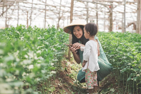 Madre y su hija cultivando juntos en la granja — Foto de Stock