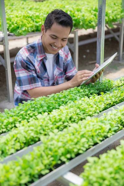 Farmář pracuje s tabletem ve farmě — Stock fotografie