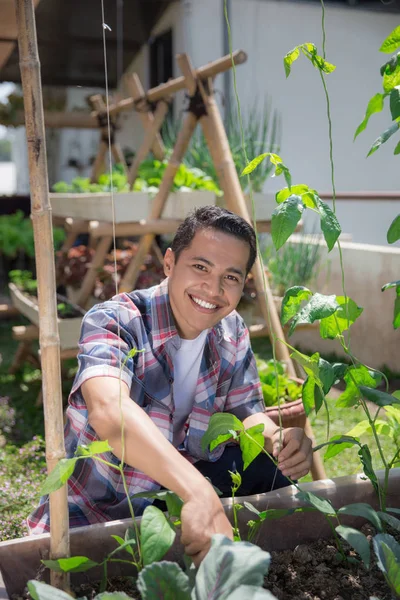 Jardinería masculina feliz — Foto de Stock