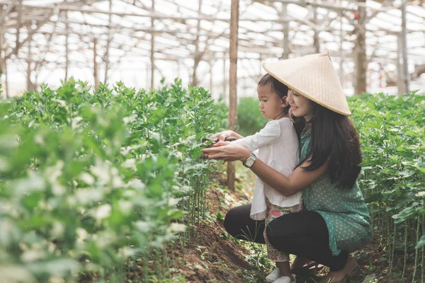 Landbouw met kind — Stockfoto