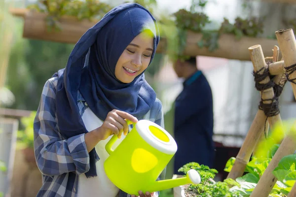 Glad muslimsk kvinna vattna hennes trädgård — Stockfoto