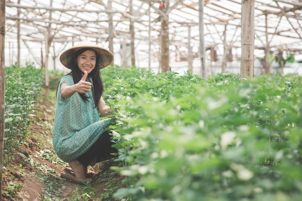 Kvinnliga jordbrukare visar tummen — Stockfoto