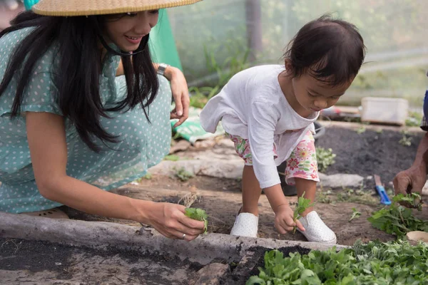 아이 도움이 그녀의 어머니는 농장에 씨앗 심기 — 스톡 사진